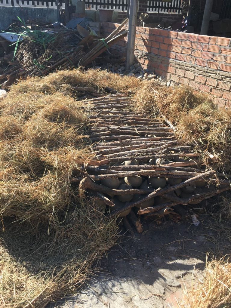 Tượng moai đảo phục sinh gốm chăm